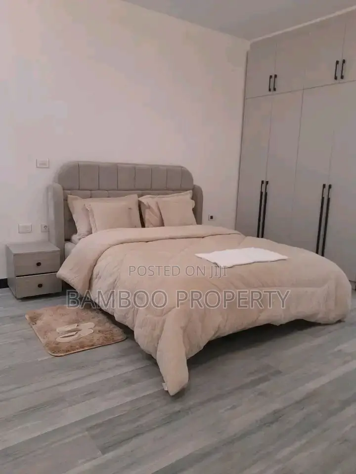 Furnished 3bdrm Apartment in Bole for rent