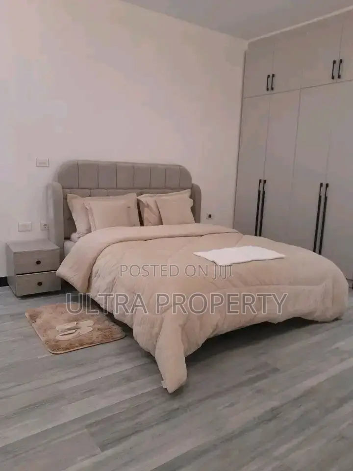 Furnished 3bdrm Apartment in Bole for rent