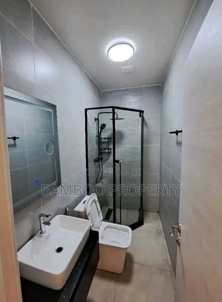 Furnished 3bdrm Apartment in Bole for rent