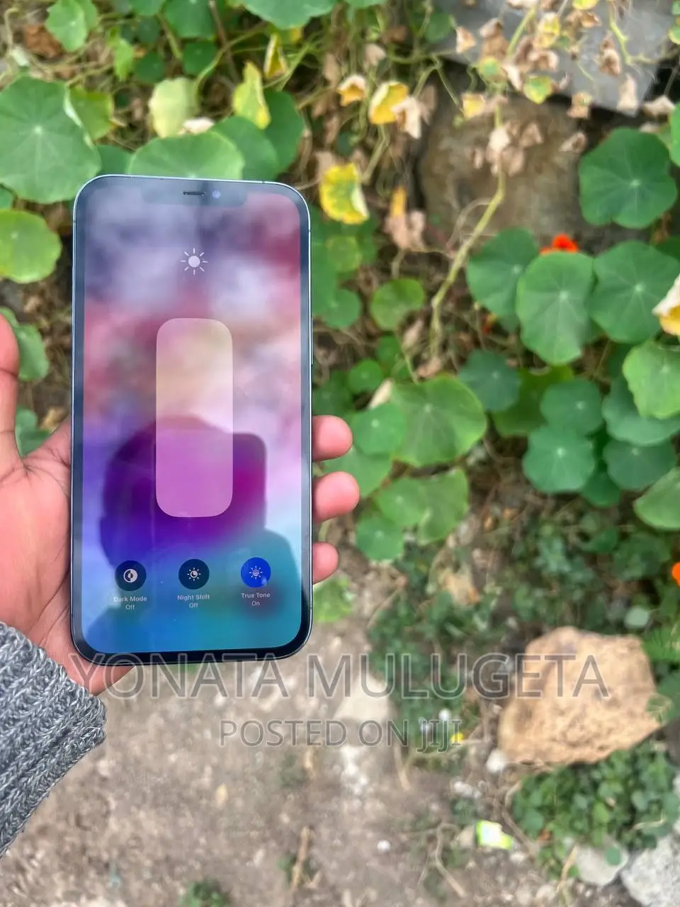 Apple iPhone 12 Pro Max 256 GB Blue