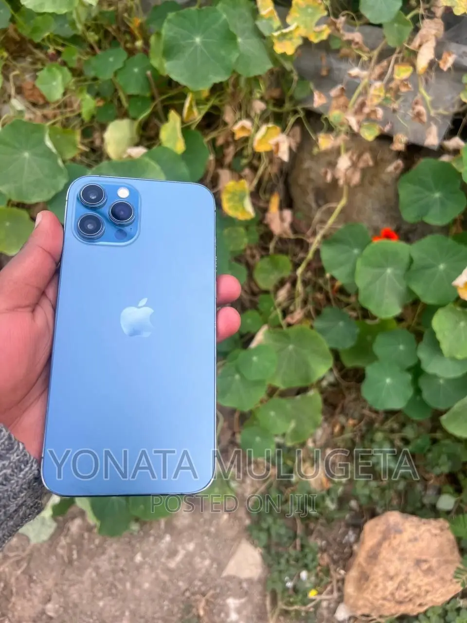 Apple iPhone 12 Pro Max 256 GB Blue