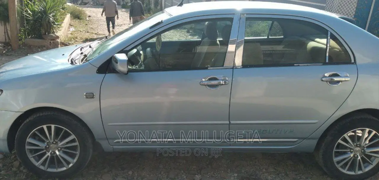 Toyota Corolla 2006 Blue