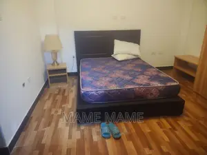 Furnished 2bdrm Apartment in Addis Abeba, Bole for rent