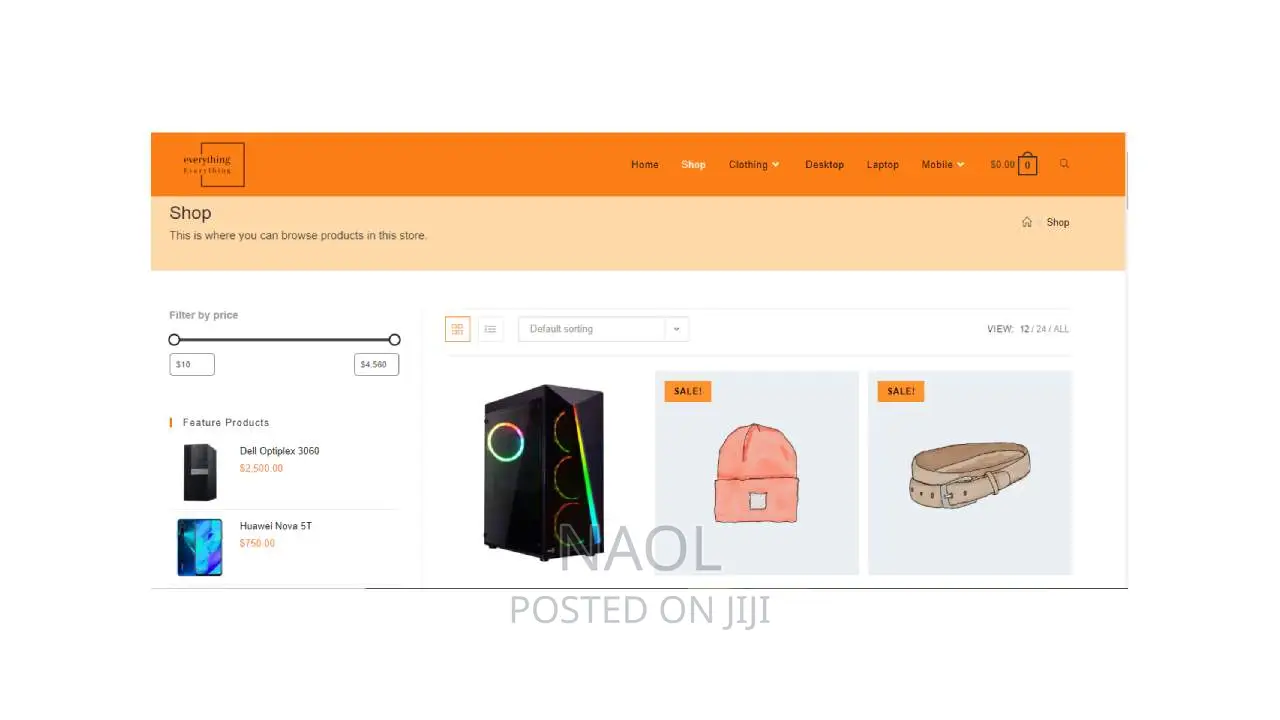 Ecommerce Website