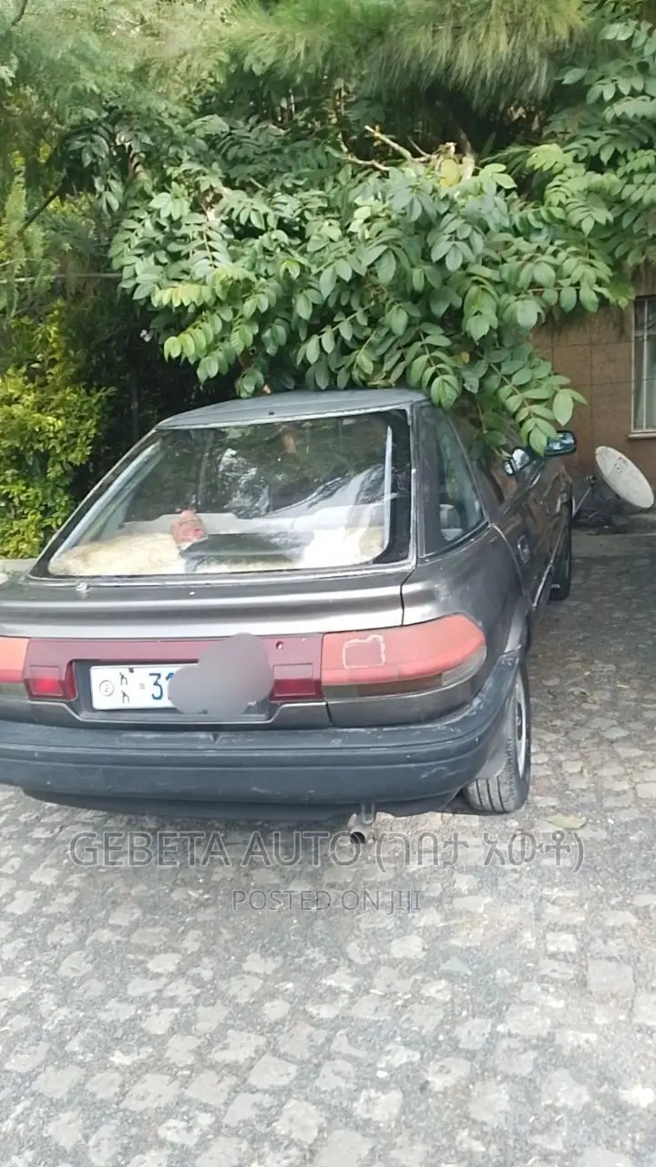Toyota Lexcen 1987 Brown