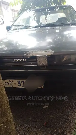 Toyota Lexcen 1987 Brown