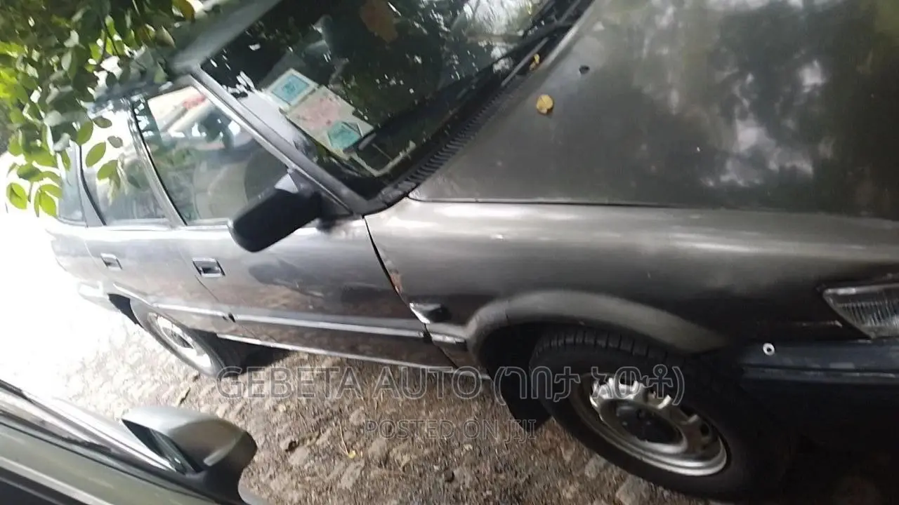 Toyota Lexcen 1987 Brown