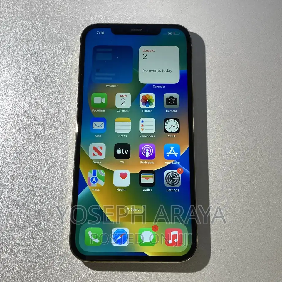 Apple iPhone 12 Pro Max 256 GB Blue