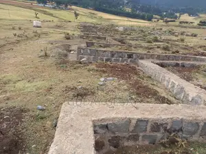 Photo - 140 Kare Yemehaber Bota Alemgena Kemteri Liyu Simu Garabolo