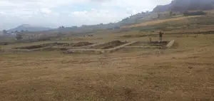 140 Kare Yemehaber Bota Alemgena Kemteri Liyu Simu Garabolo