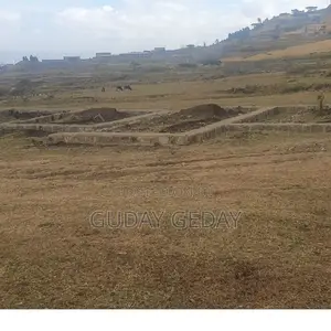 140 Kare Yemehaber Bota Alemgena Kemteri Liyu Simu Garabolo