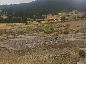 140 Kare Yemehaber Bota Alemgena Kemteri Liyu Simu Garabolo