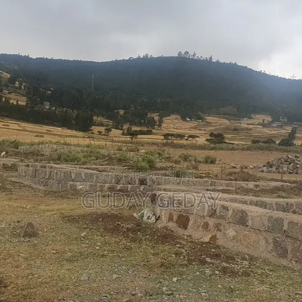 140 Kare Yemehaber Bota Alemgena Kemteri Liyu Simu Garabolo