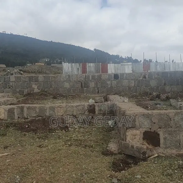 140 Kare Yemehaber Bota Alemgena Kemteri Liyu Simu Garabolo