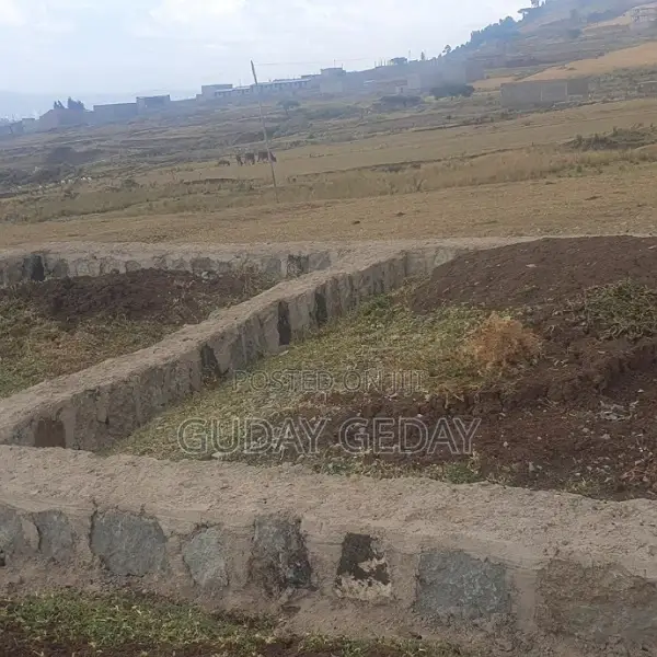 140 Kare Yemehaber Bota Alemgena Kemteri Liyu Simu Garabolo