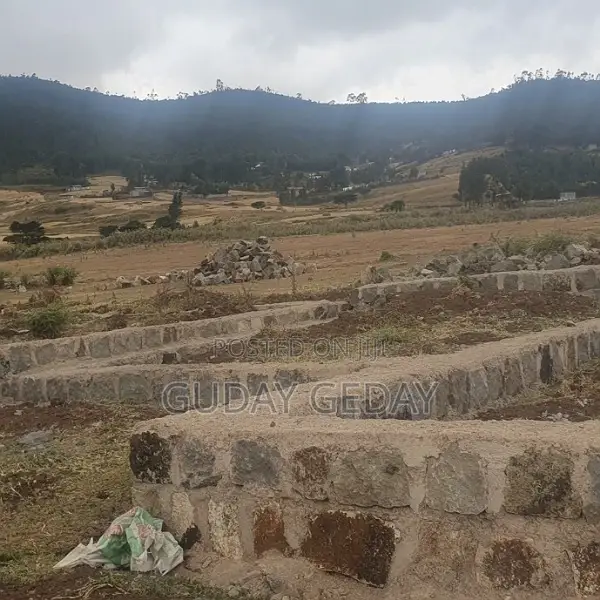 140 Kare Yemehaber Bota Alemgena Kemteri Liyu Simu Garabolo