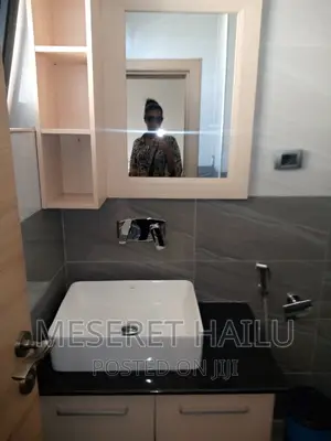 Furnished 1bdrm Apartment in Bole for rent