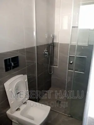 Furnished 1bdrm Apartment in Bole for rent