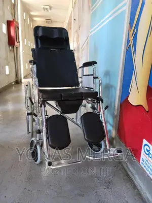 Bed/Toilet Wheelchair_leg Flip-Up/Adaptomove:Roll Wheelchair