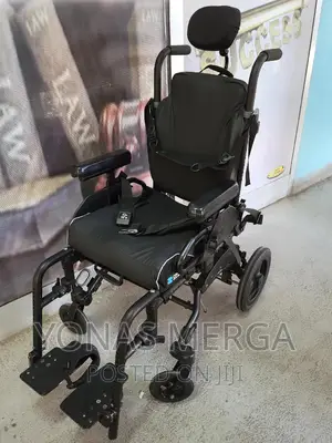 Children Wheelchair/Express Kids Wheelchair/Usa Imported/