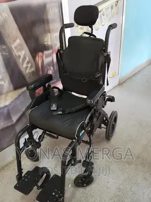 Children Wheelchair/Express Kids Wheelchair/Usa Imported/