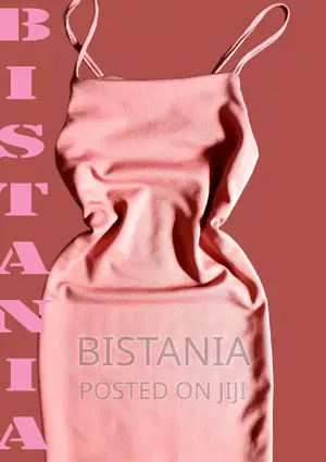 Stylish Women's Fitted Dress