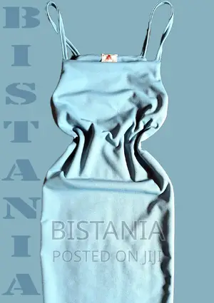 Stylish Women's Fitted Dress