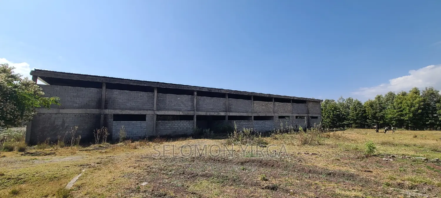 ለሽያጭ የቀረበ መጋዘን