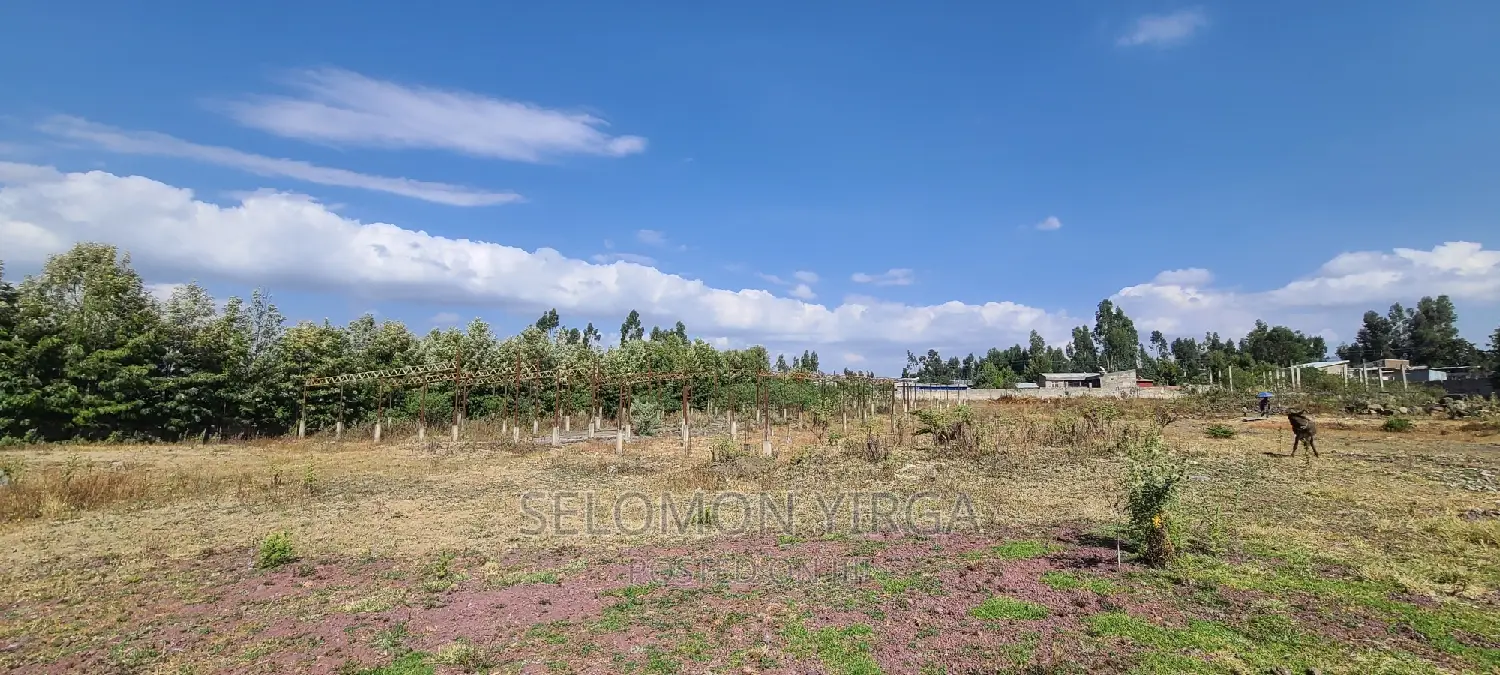 ለሽያጭ የቀረበ መጋዘን