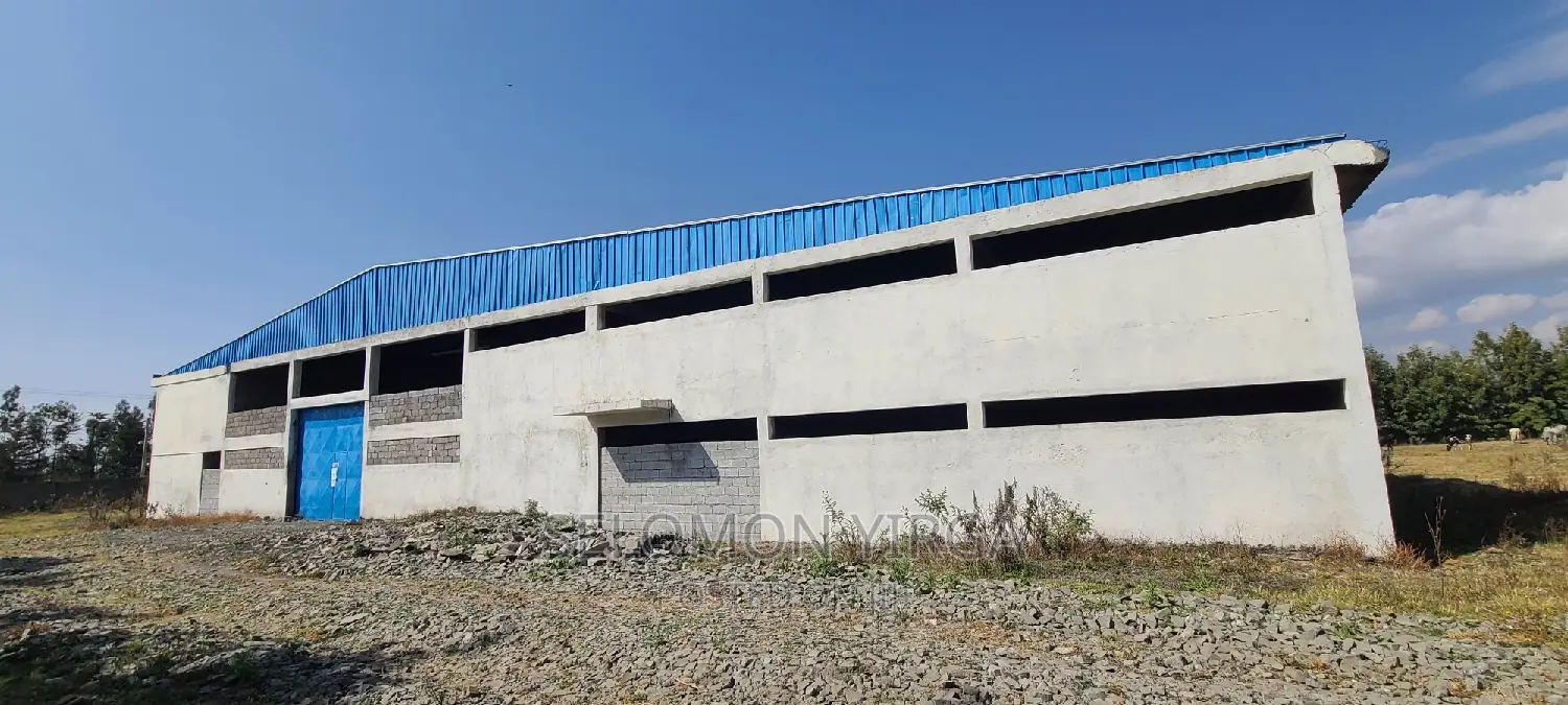 ለሽያጭ የቀረበ መጋዘን