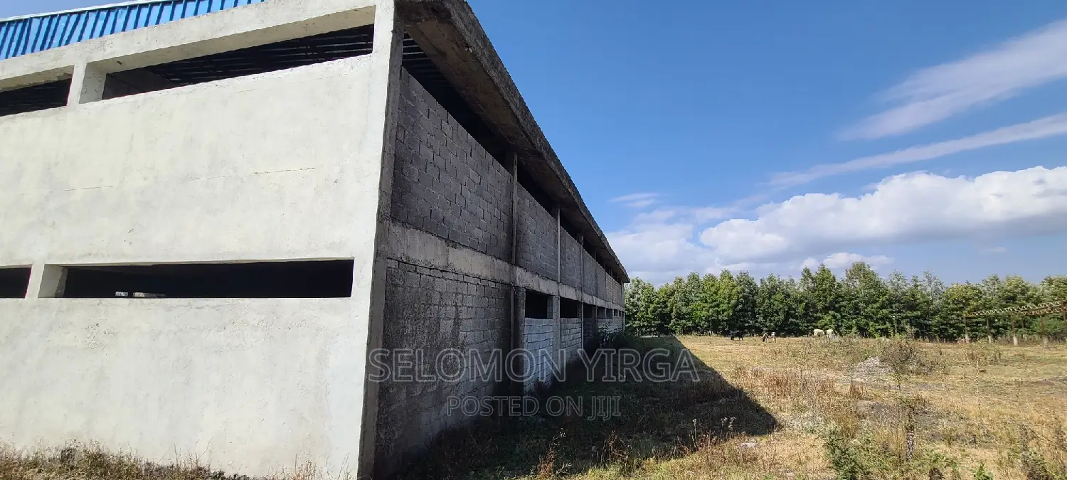 ለሽያጭ የቀረበ መጋዘን