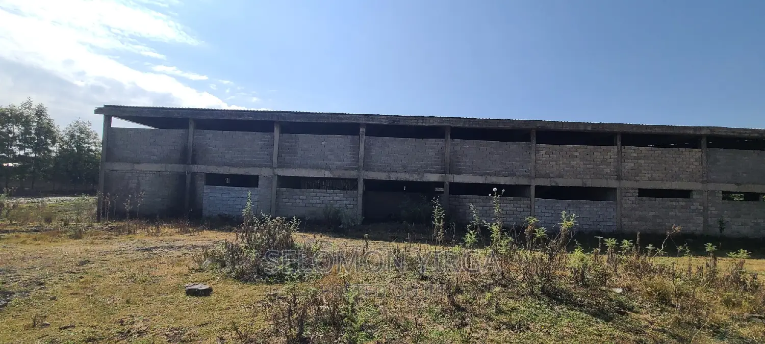 ለሽያጭ የቀረበ መጋዘን