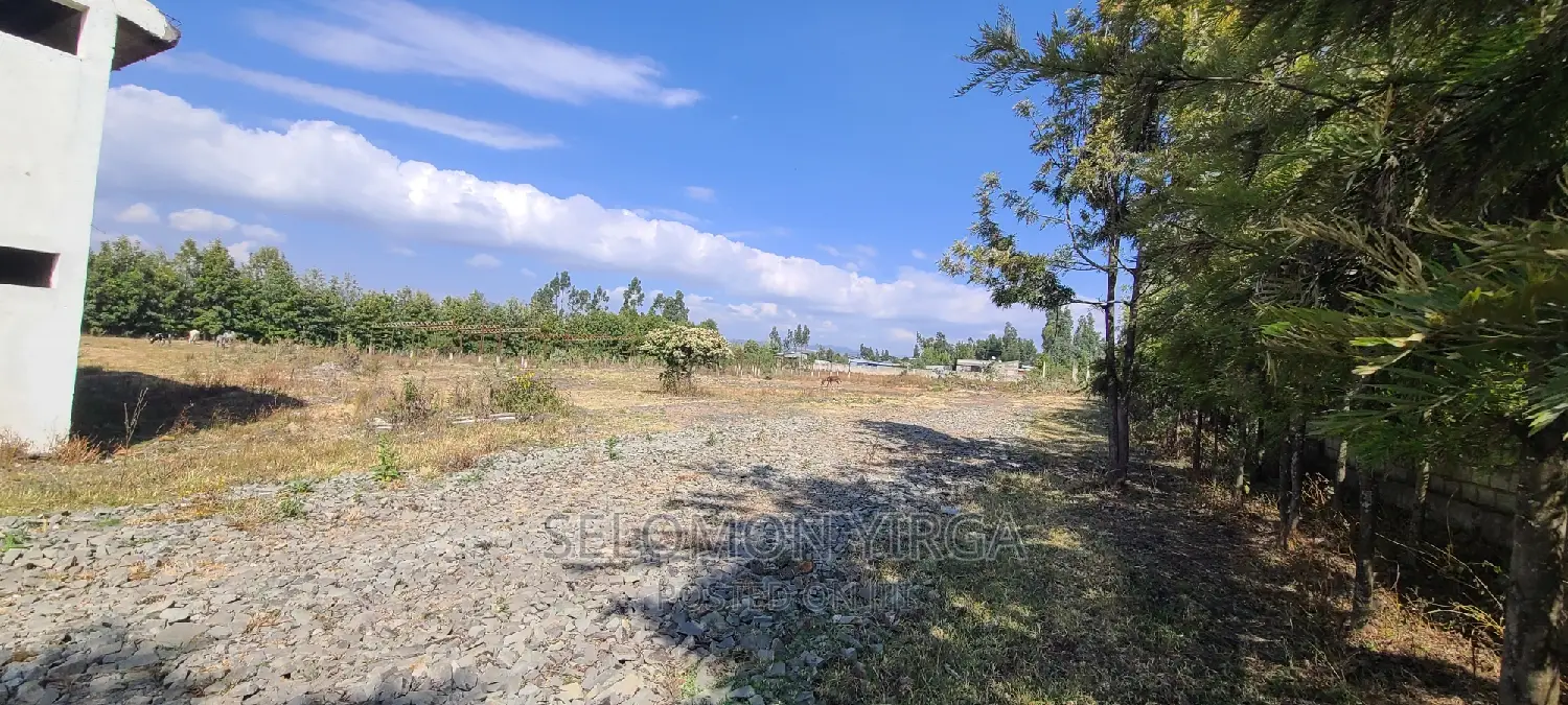 ለሽያጭ የቀረበ መጋዘን