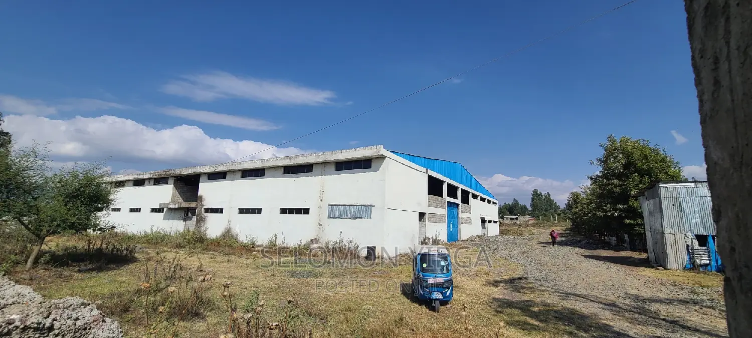 ለሽያጭ የቀረበ መጋዘን