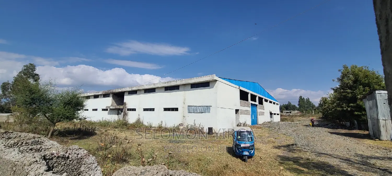 ለሽያጭ የቀረበ መጋዘን