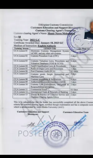 Custom Clearing Agent or Transitor