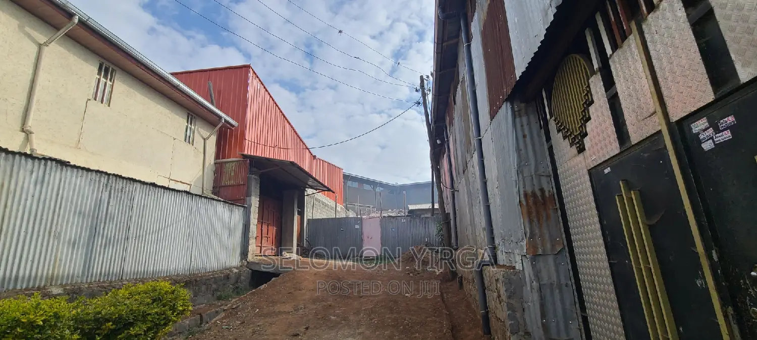 Lakiray Yaqreb Magazn