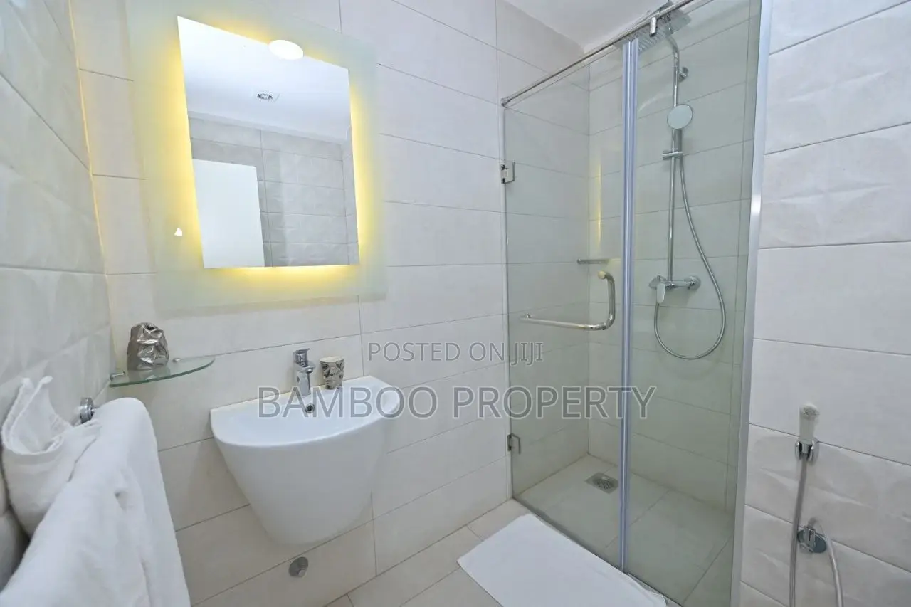 Furnished 1bdrm Apartment in Bole for rent