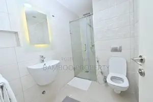 Furnished 1bdrm Apartment in Bole for rent