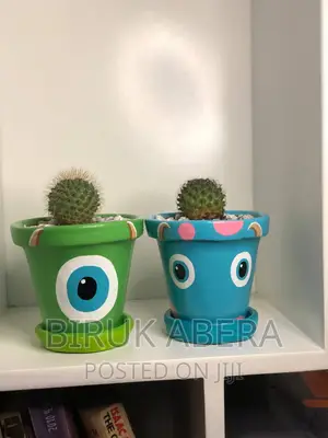 Photo - Indoor Planted Pot