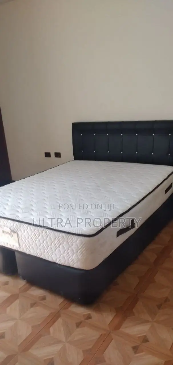 Furnished 1bdrm Apartment in Bole for rent