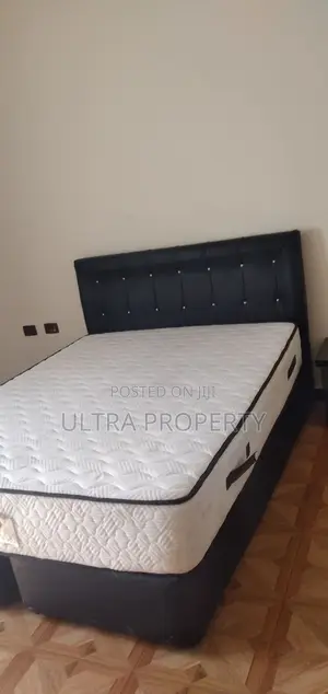 Furnished 1bdrm Apartment in Bole for rent
