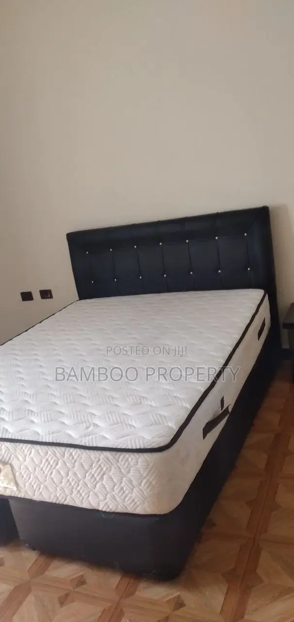 Furnished 1bdrm Apartment in Bole for rent