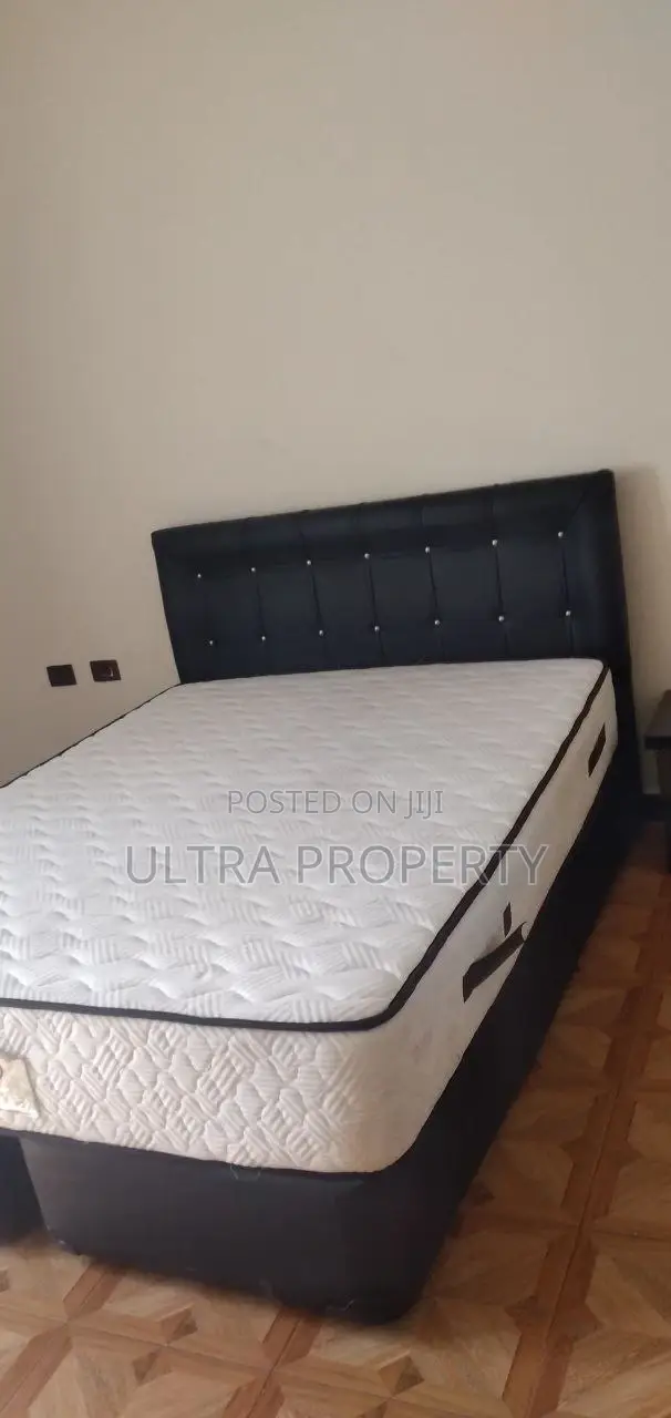 Furnished 1bdrm Apartment in Bole for rent