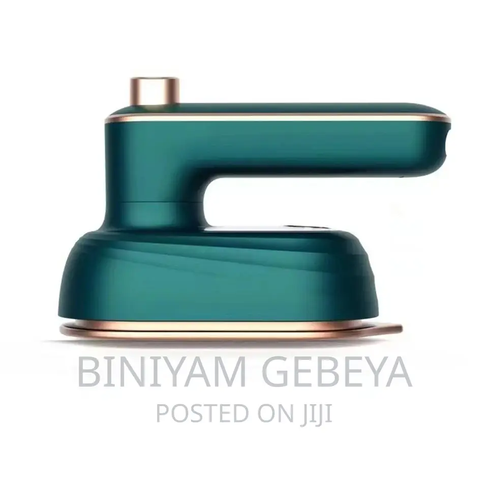 Mini Electric Steam Iron With Spray