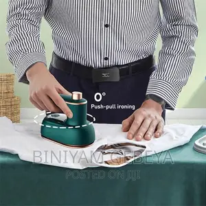 Photo - Mini Electric Steam Iron With Spray