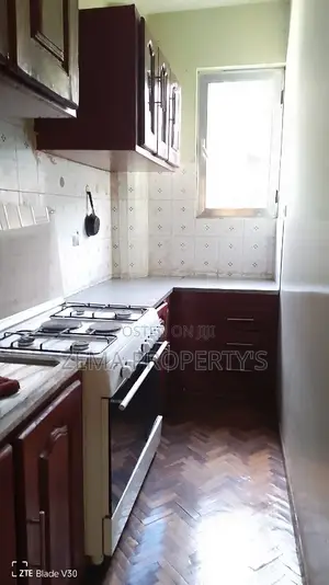 Photo - Furnished 1bdrm Apartment in ዜማ, Bole for rent