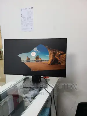 Dell Monitor