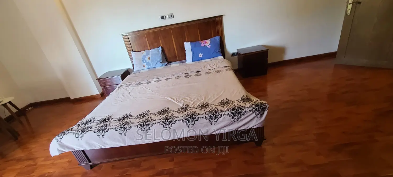 Furnished 3bdrm Apartment in Adis Ababa, Bole for rent