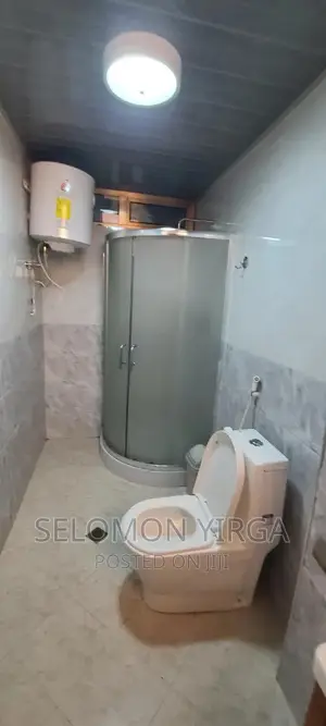 Furnished 3bdrm Apartment in Adis Ababa, Bole for rent